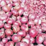 To Control Rising Onion Prices