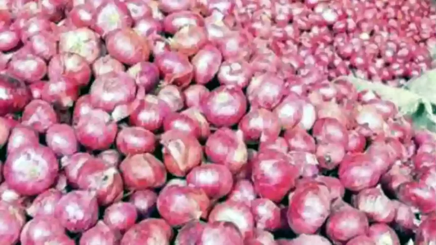 To Control Rising Onion Prices