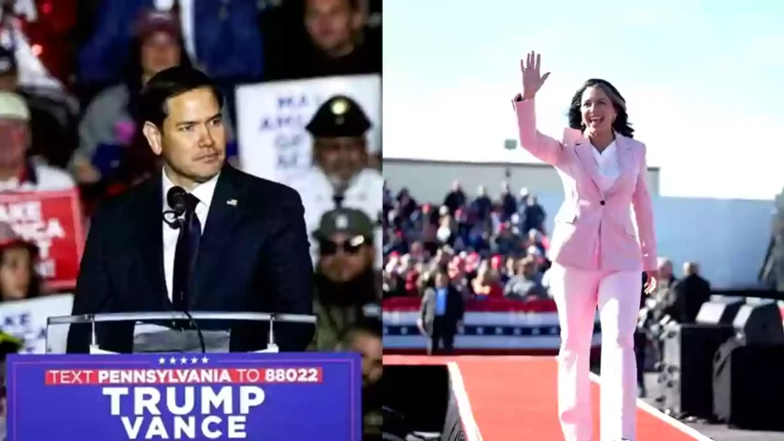 Marco Rubio,Tulsi Gabbard